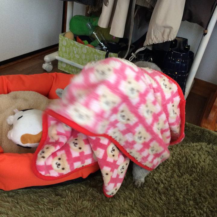 3a438549 597d 46d3 b86c cd3c9e851099