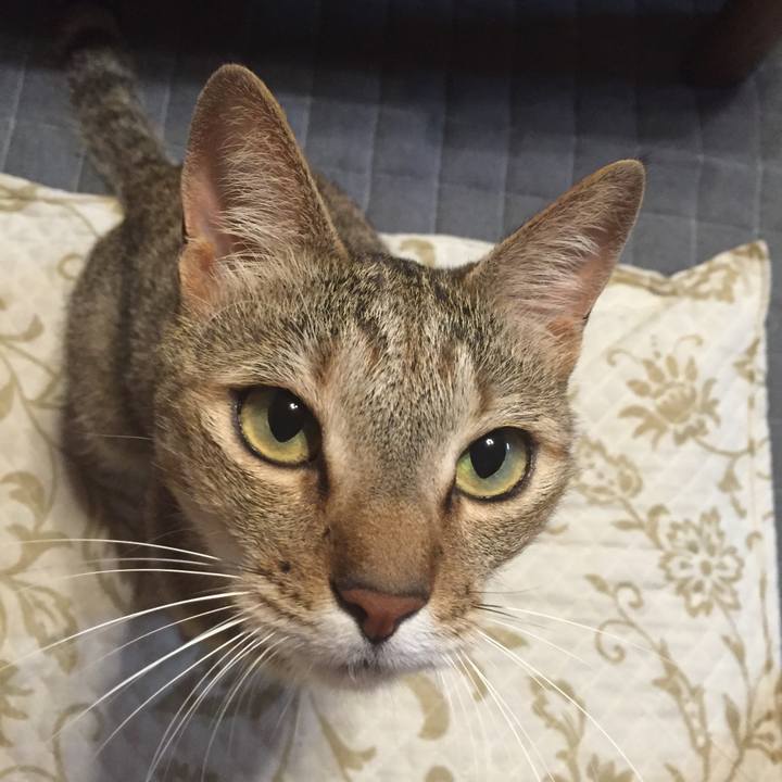 3a43a15c 3086 4630 87fd 53823767cffc