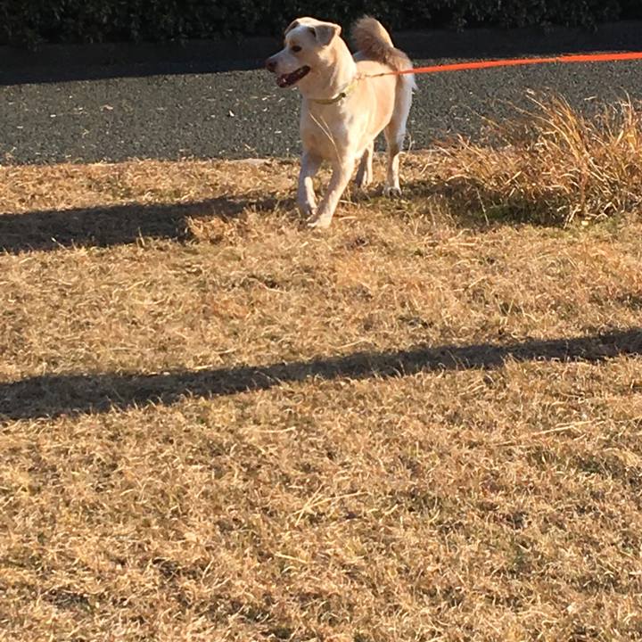 3a43d24d 353b 4d84 95a2 eee9336353ba