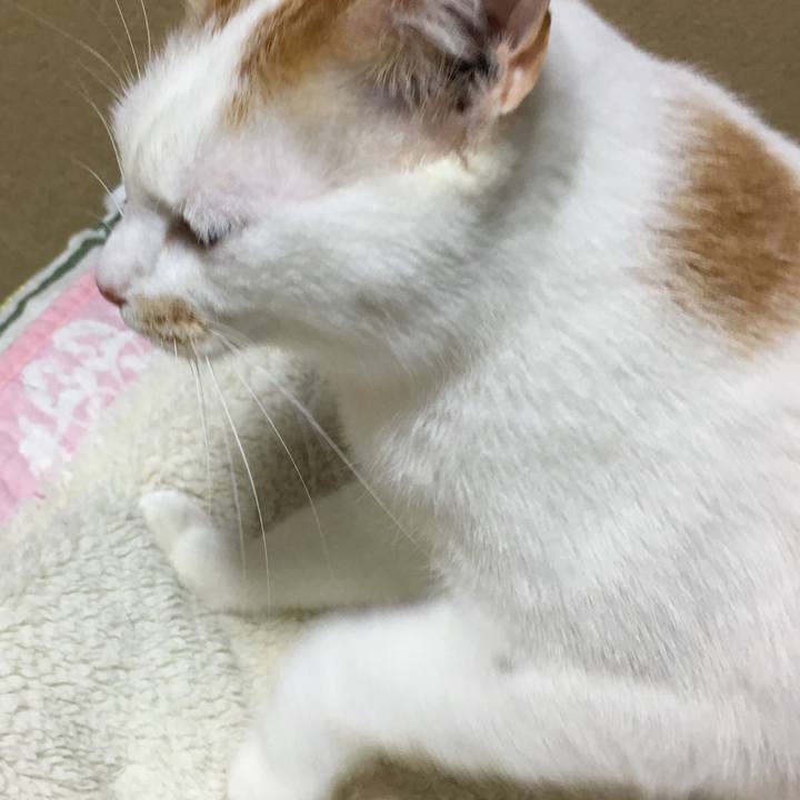 3a446887 ff70 41bd 874b 19ebb09eaa9d