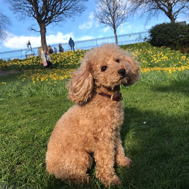 3a44cbdf 8215 4d3a b484 a3e44e3dcf4b