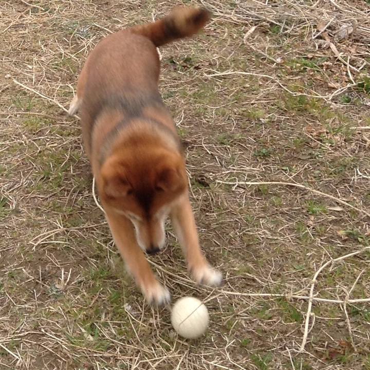 3a44cc33 7eb0 48db 8c85 8ca3b67ad3e5