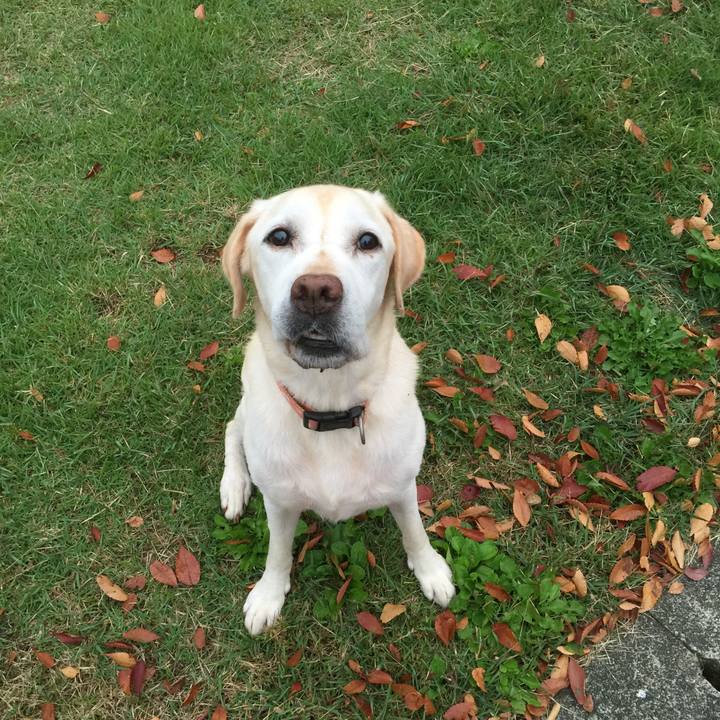 3a44cf96 7fe1 45be 8874 32a78c40ea88