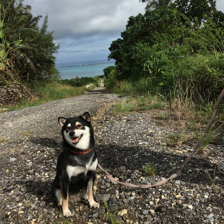 3a4561e9 41c5 4f48 aa17 cca93d2366c2