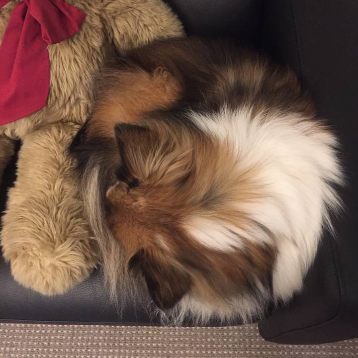 3a4579b9 c380 4ebf 92b3 5edec3a88cbc