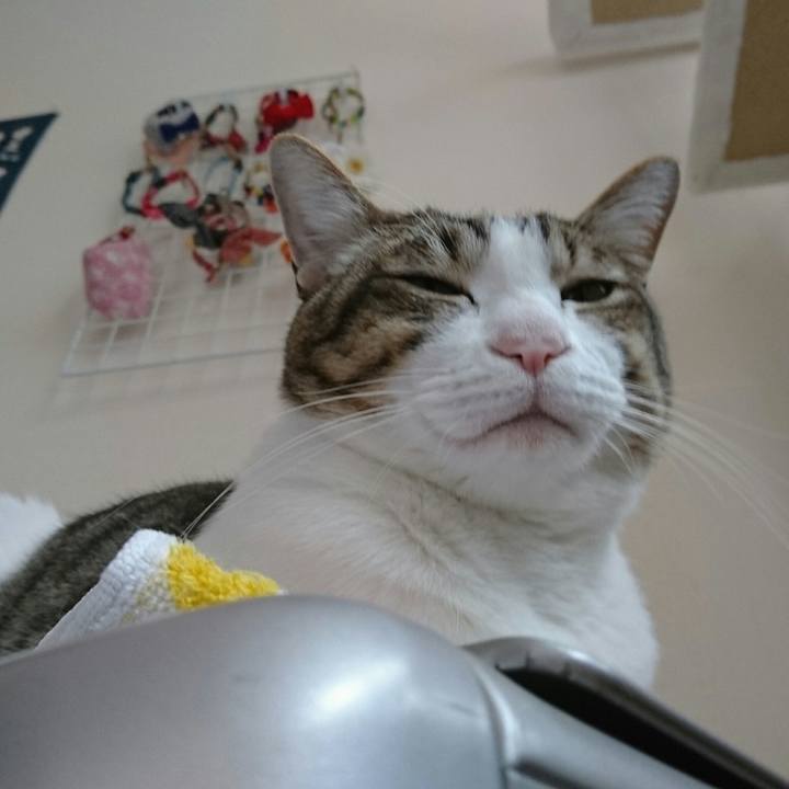 3a45a445 2062 4b84 b38e abeb9cca7e0e