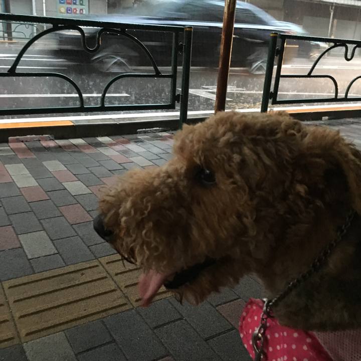 3a45b0c7 47a1 4d44 a22c 9dd534a8131c