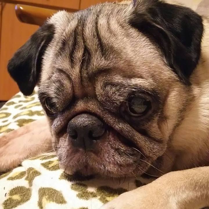 3a45b3f5 2df2 4e9a 98d9 a5b683631ca0