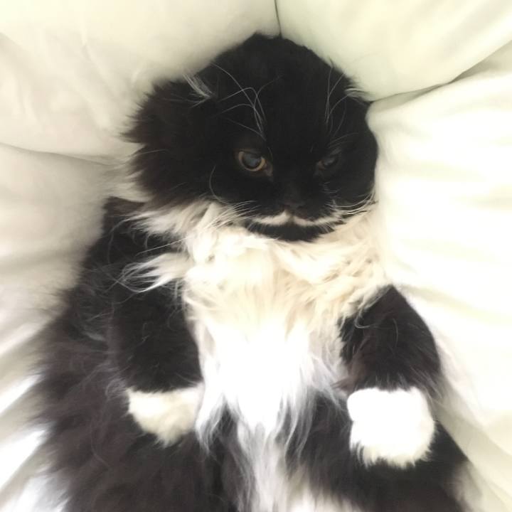 3a465ef3 ec53 44a4 9a9e 98e008a237a2