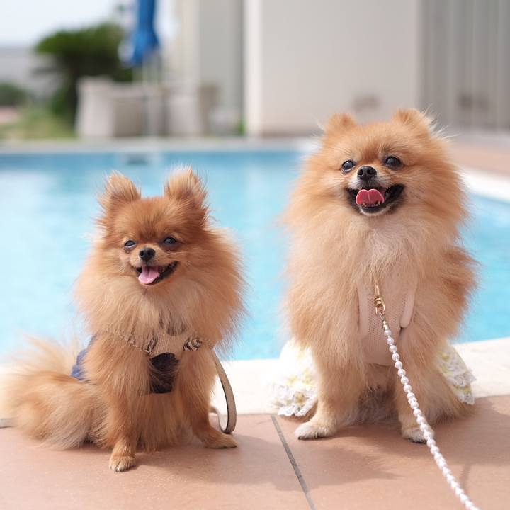 3a46943f acaa 4c89 986b 013ef71e1df3