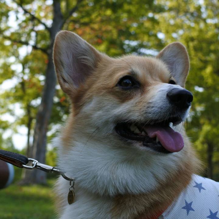 3a486ce9 a47d 44d5 90b1 82d5745d7f02