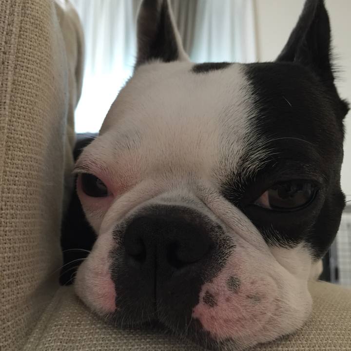 3a4989d1 49a0 4f37 a699 1c21aa319e5c