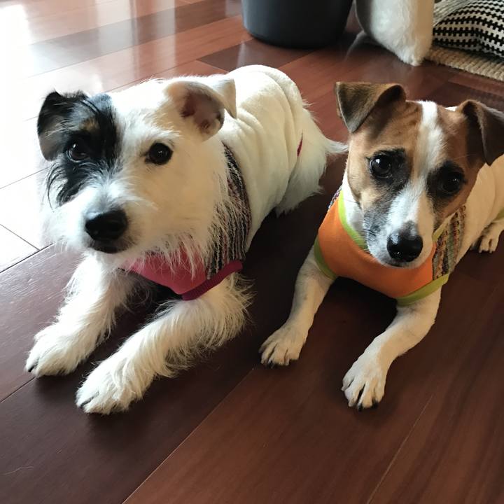 3a49d11e acd8 4d4c 92a9 61810c3433ed