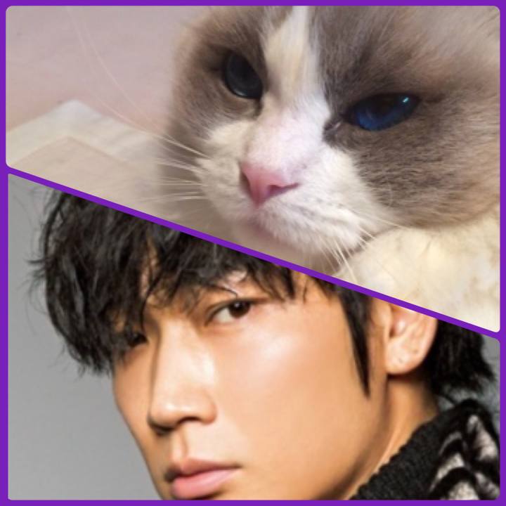 3a4a51a3 9486 41da 8d13 9ee179d863b7