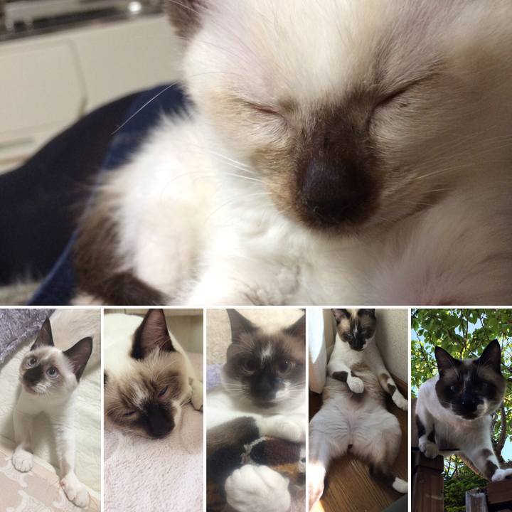 3a4a88de 321e 492d ac73 4bed1f9283f8