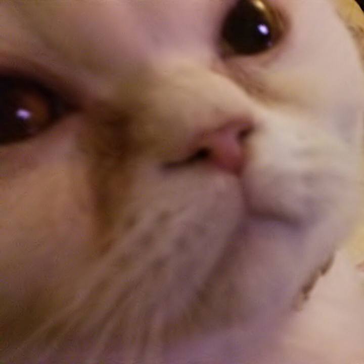 3a4aa7c7 db99 4511 877e 4bc3c83776bb