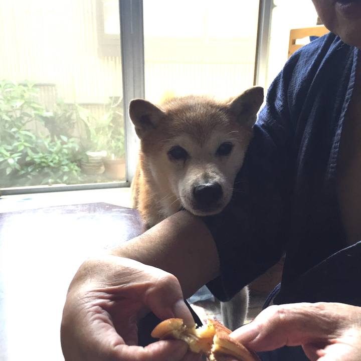 3a4ac4d9 596d 41a0 9888 c3ace04acfab