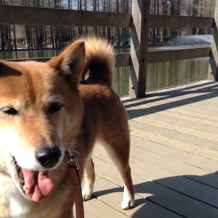 3a4bad2f d81b 42da 8f57 3ff0c10cea78