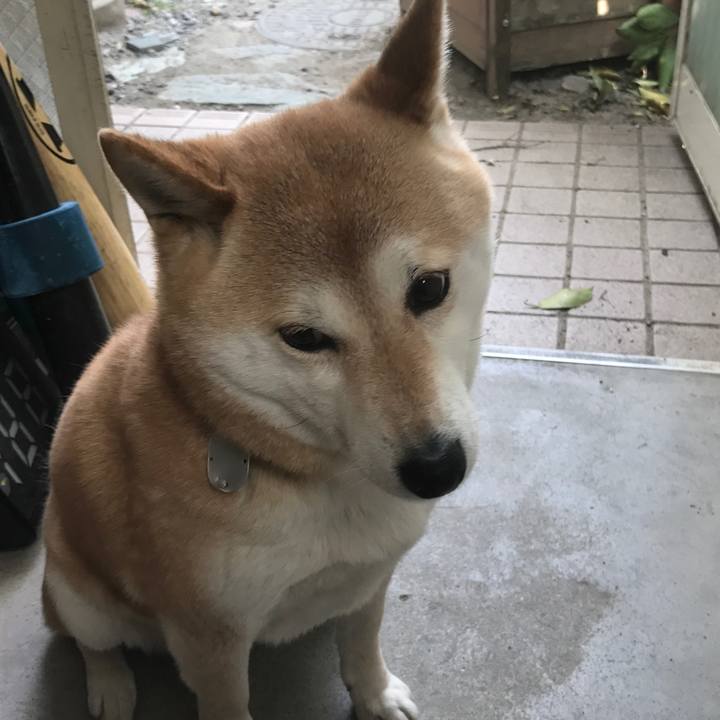 3a4c380d 90dd 45e5 8313 792d02378d10