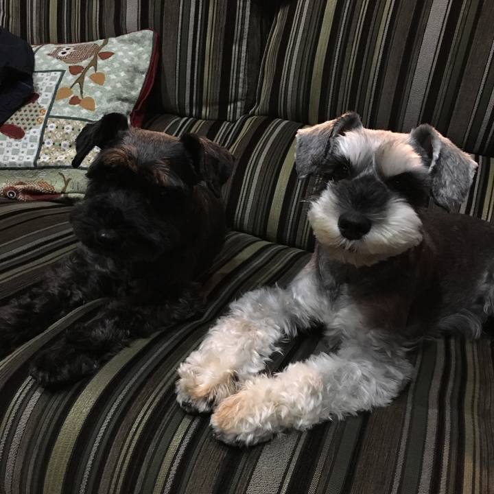 3a4ca37b 0e95 4622 9656 79d87a4e5f4a