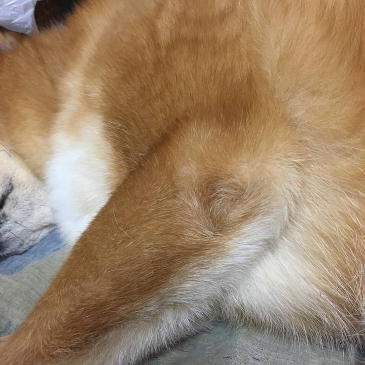 3a4cc005 2132 4820 ba2e bbfc46a3f615