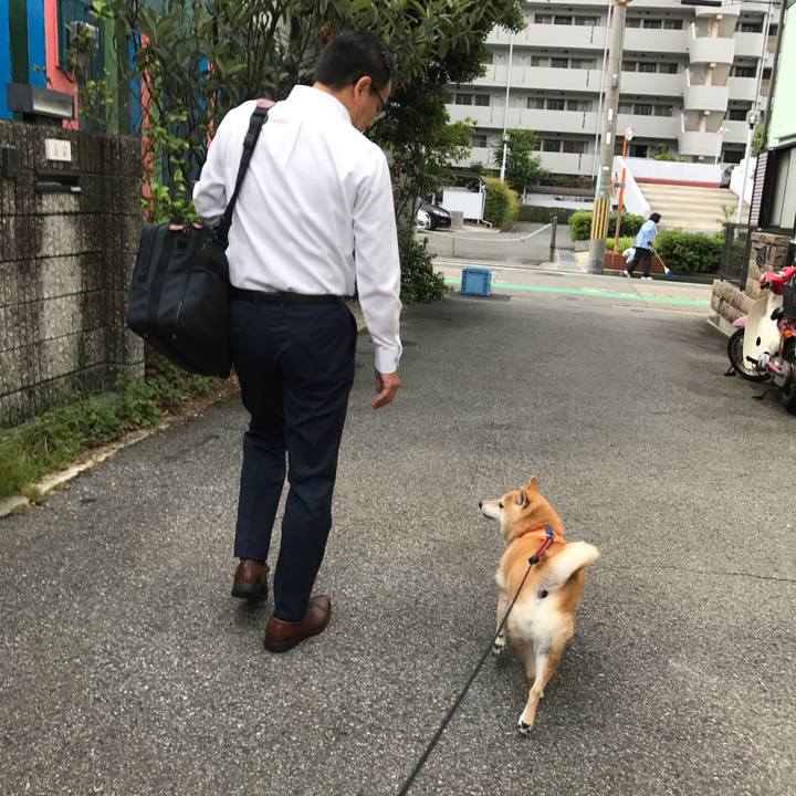 3a4cc2a2 5381 471c b693 c1879c1fb78a