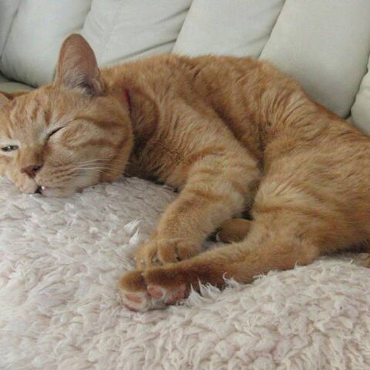 3a4cd9c0 7434 4ff0 9256 b87435189c8c