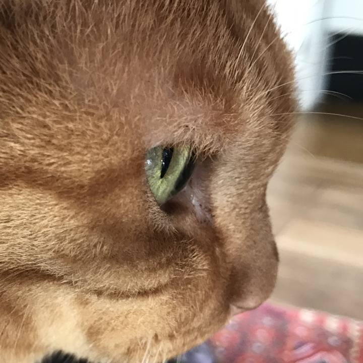 3a4cf865 a37e 43fc 8ad4 7ef4826ff8ac