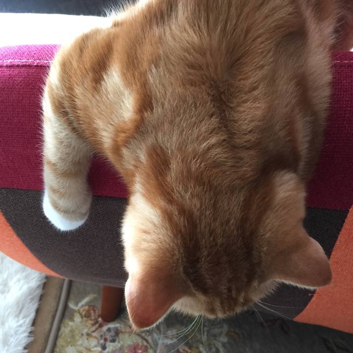 3a4d5901 5b4d 4bc7 9e5b 0b3cef6833da