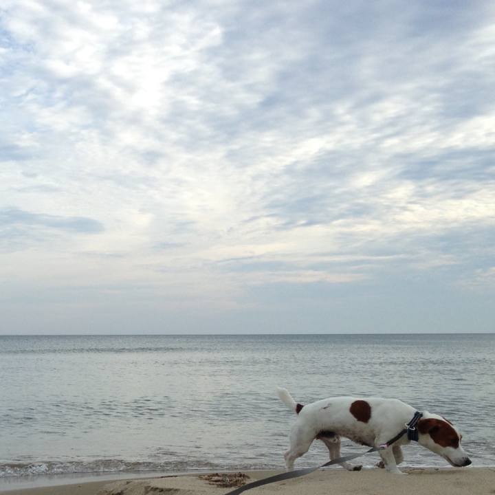 3a4dddbd 85a1 4fb2 81c0 d0d1ea332d07