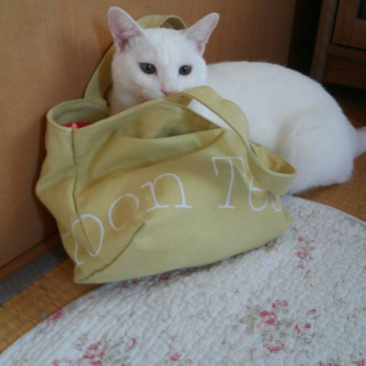 3a4e36a7 009f 460c ada9 0533ca1ba526