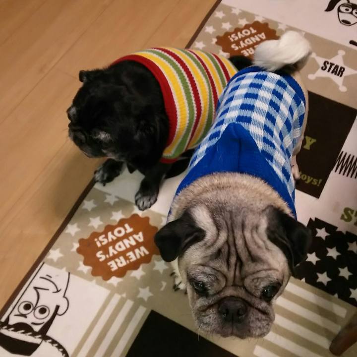 3a4e9f6f c941 4598 8fee 99235ec2ed64