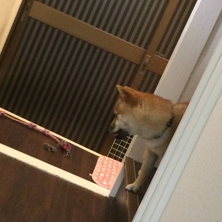 3a4eeabb c268 4db9 8fad 0896a9a44be6