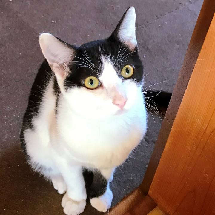 3a4f493b fee3 47e6 9410 93bb5d1c74ca