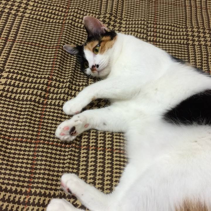 3a50f355 c5cf 480e bfbd d7d8b2e00a63