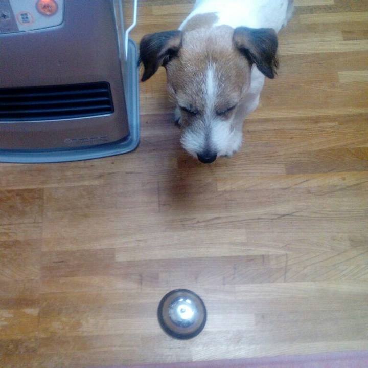 3a5122c4 703a 41ae 974d 07aa9fe66a9f