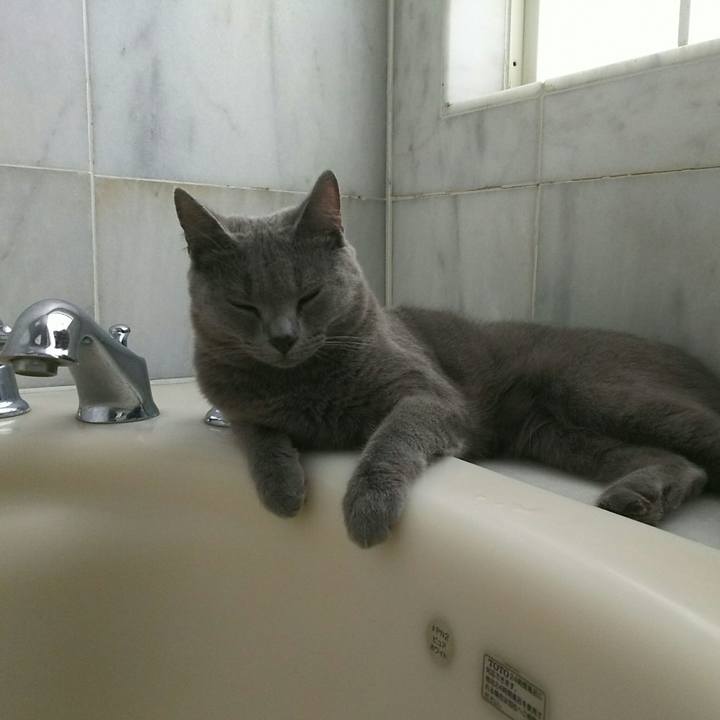 3a52016d 8dd7 4eb4 9ab7 744e1f287a8d