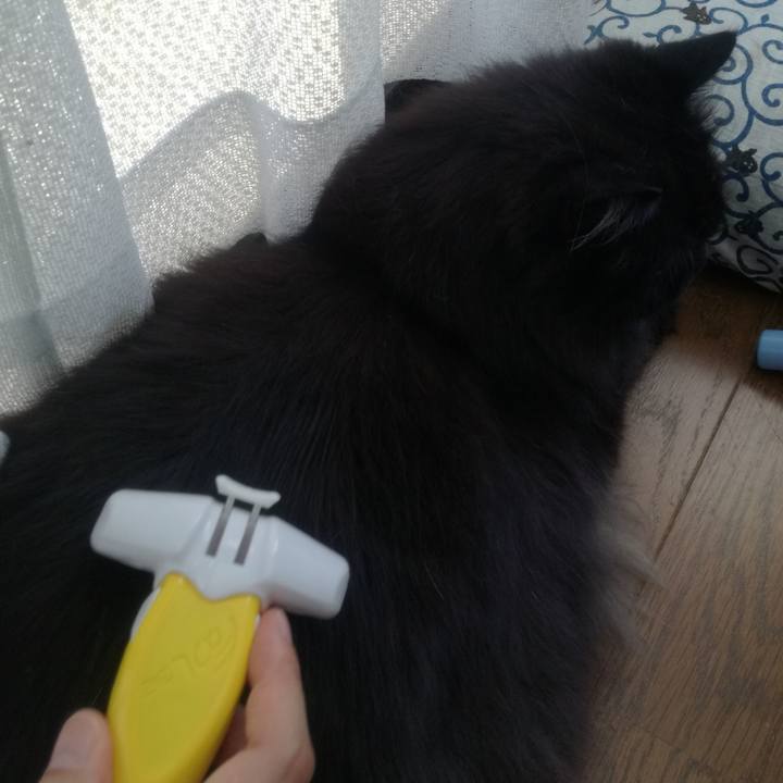 3a523306 d7e5 45dc be17 b5382dcc9978