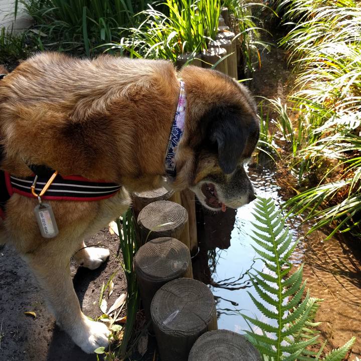 3a52549c 6ec4 49c7 bae1 9e6098a428c2