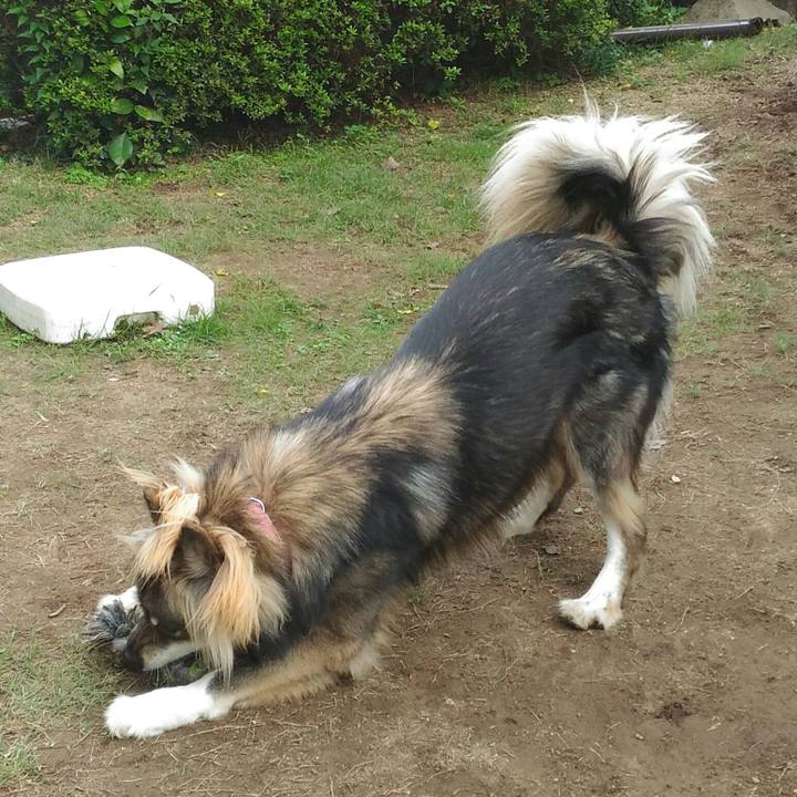 3a52bc8f bccc 4b9c 8a92 f8d9ac893d90