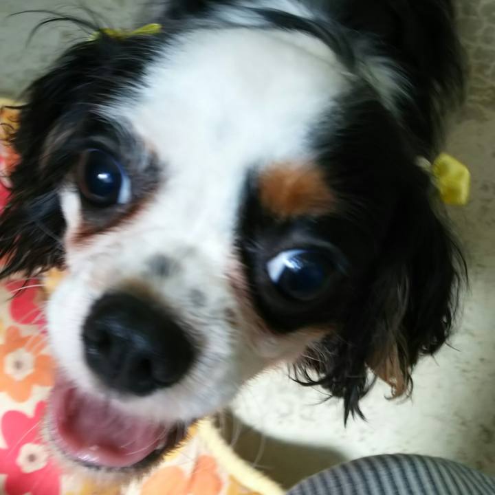 3a5323e0 7d86 40cd 8efc 164076d5e3b9