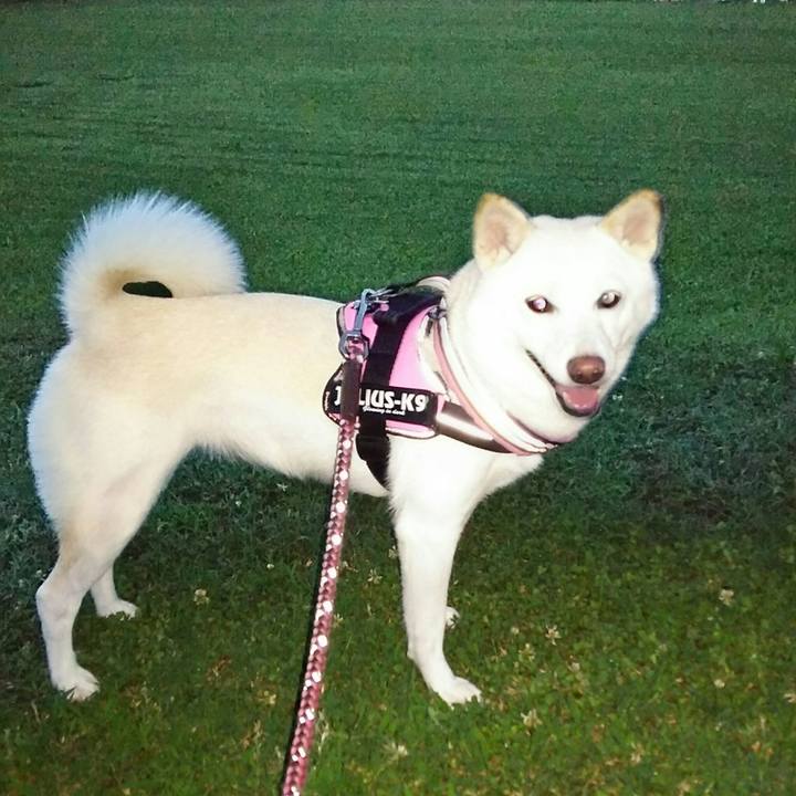 3a53aa18 a28e 446e ae70 2ce8f469913f