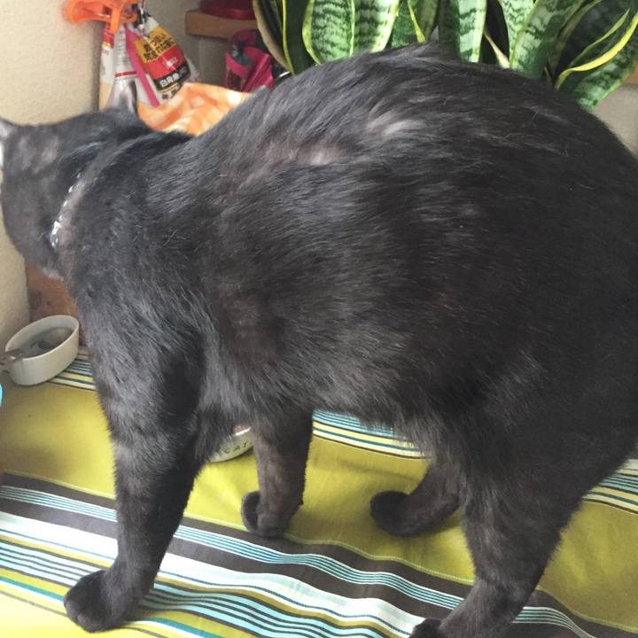 3a5409cb 07a4 4dc4 b71d faf6fb5eebb6