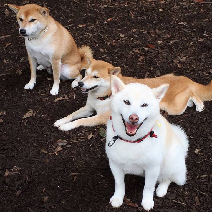 3a54363b e692 4101 809c 390d4cfae612