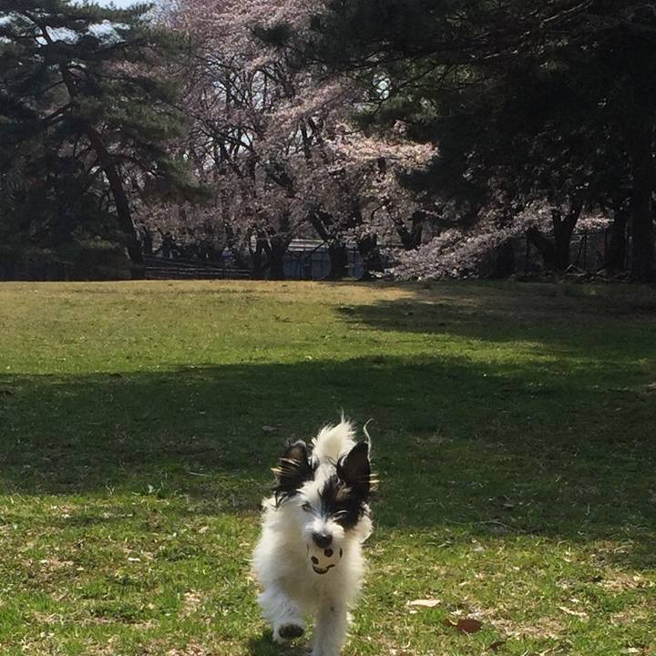 3a551c80 7469 42d0 84a1 bdf784a80aa6