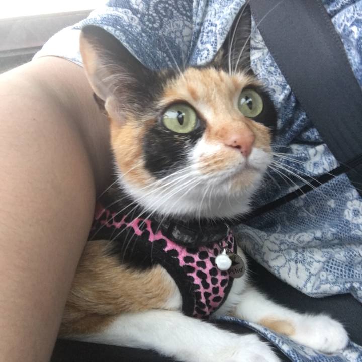 3a557199 1377 4e84 b196 83b80d4d597c