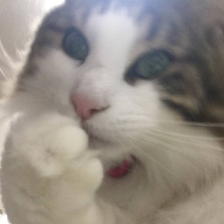 3a562bdc 9fd1 43f0 863b cecb109ad5f6