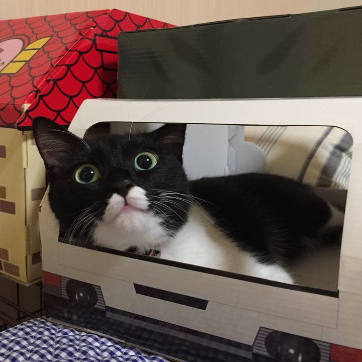 3a566dfe a52c 4414 bafe 8d9a1ab6fb7a