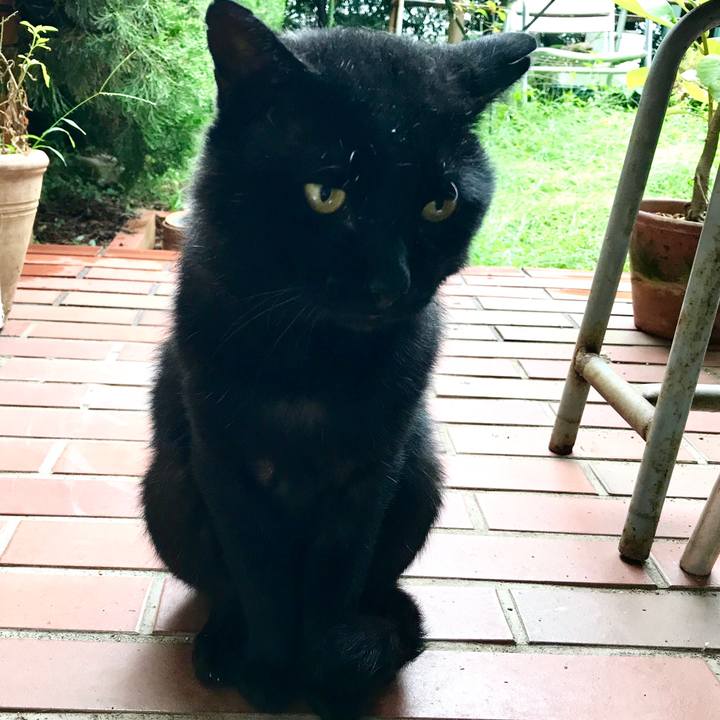 3a56a81b f708 49d9 8394 212d2bec5e4f