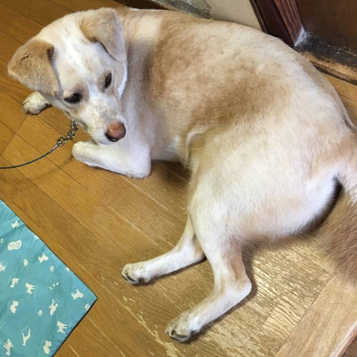 3a56f6cc 1caf 479d a247 4a2445a038a6